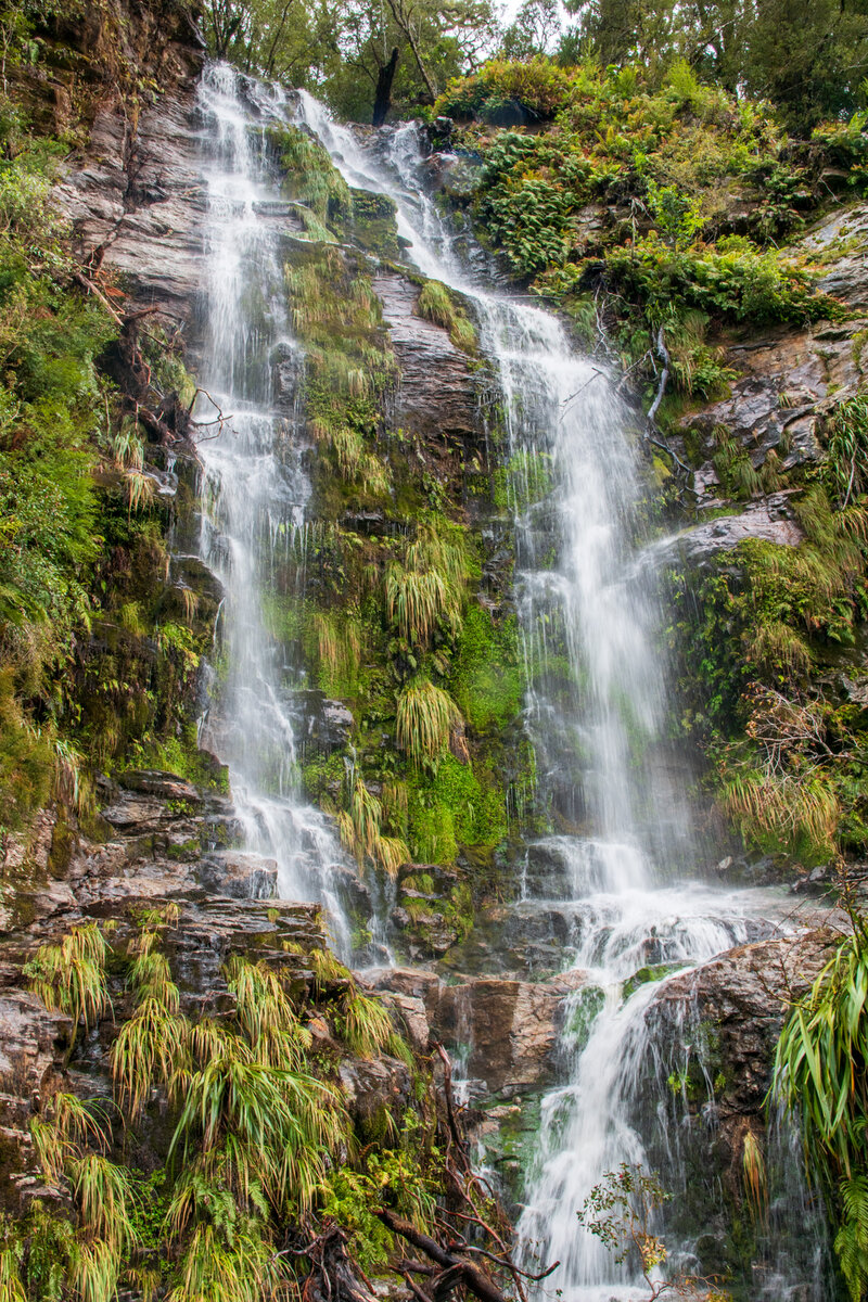 DSC_0606.jpg