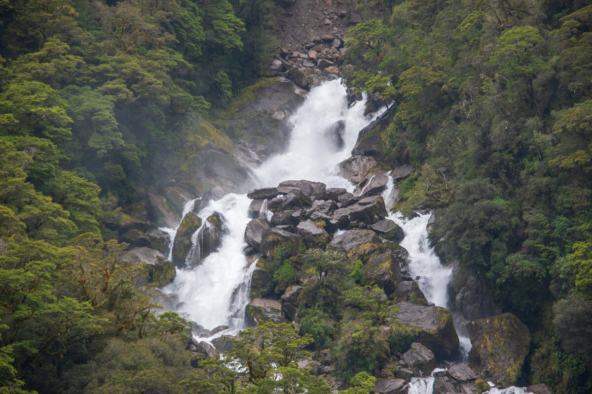 DSC_0636.jpg