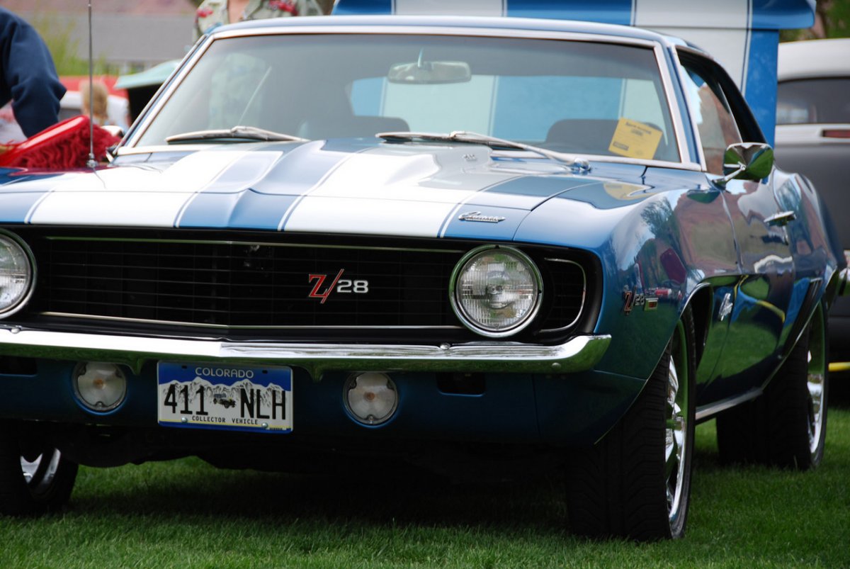 DSC_0649-X2.jpg