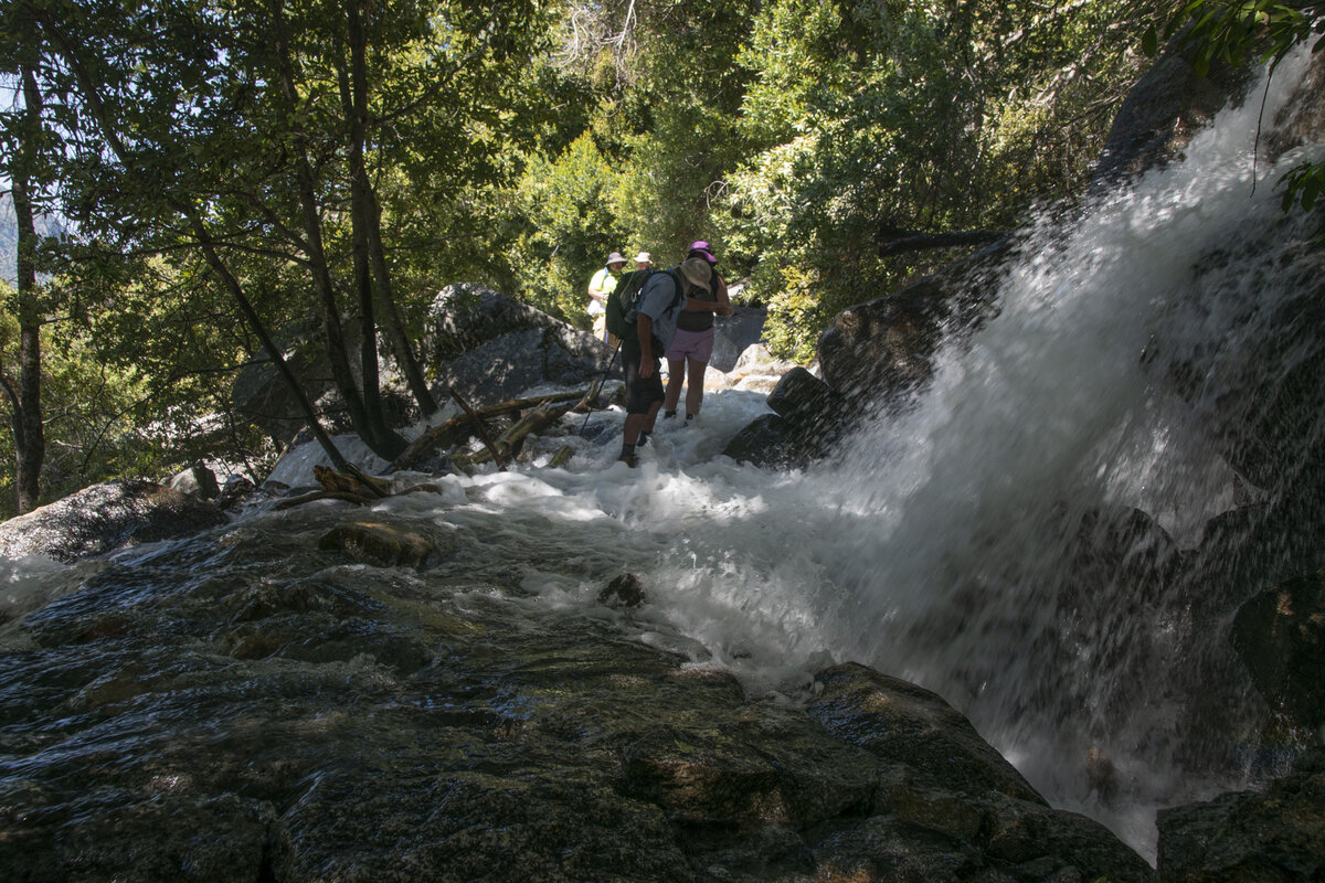 DSC_0727a.jpg