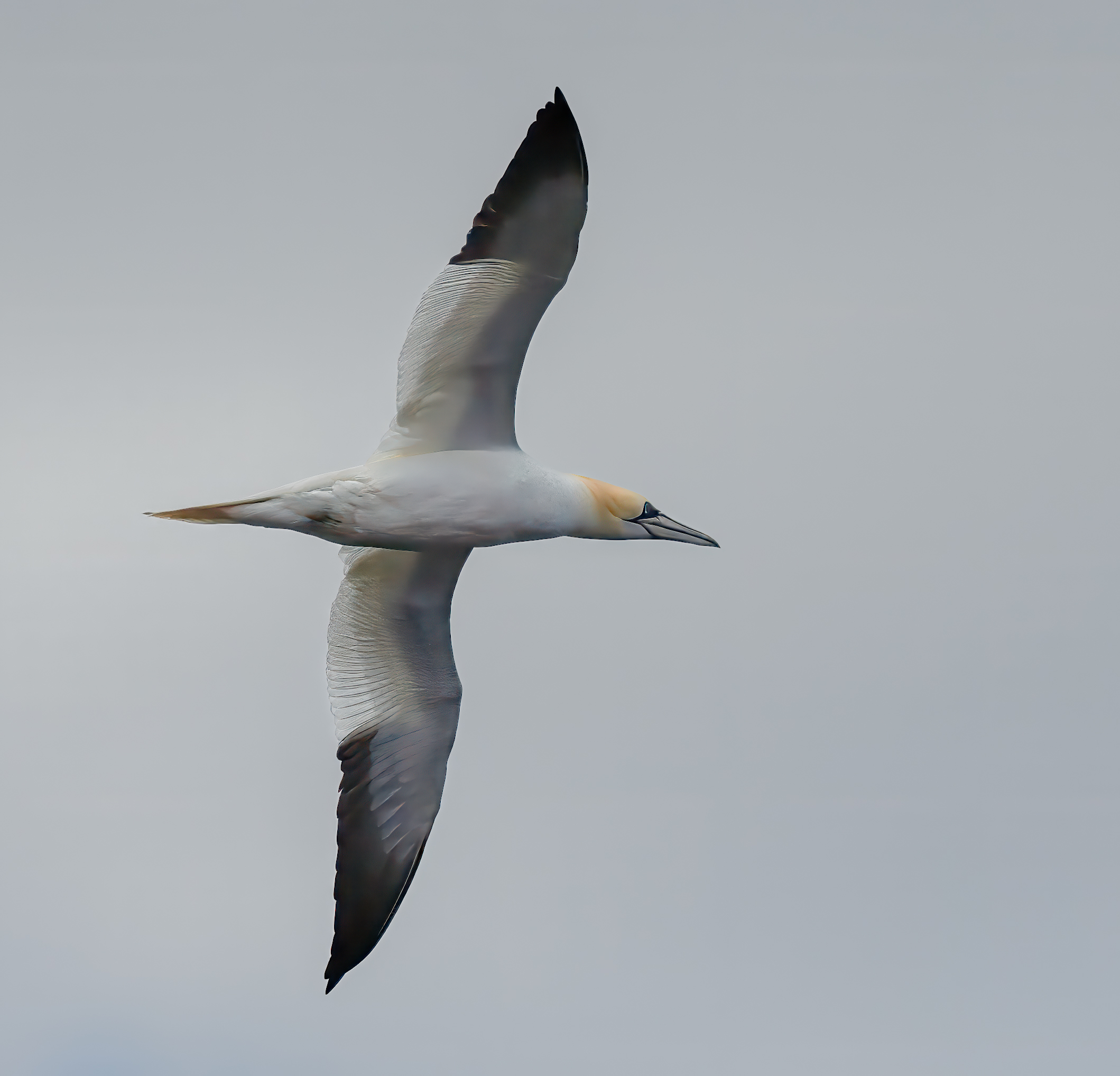 DSC_0765-Edit.jpg