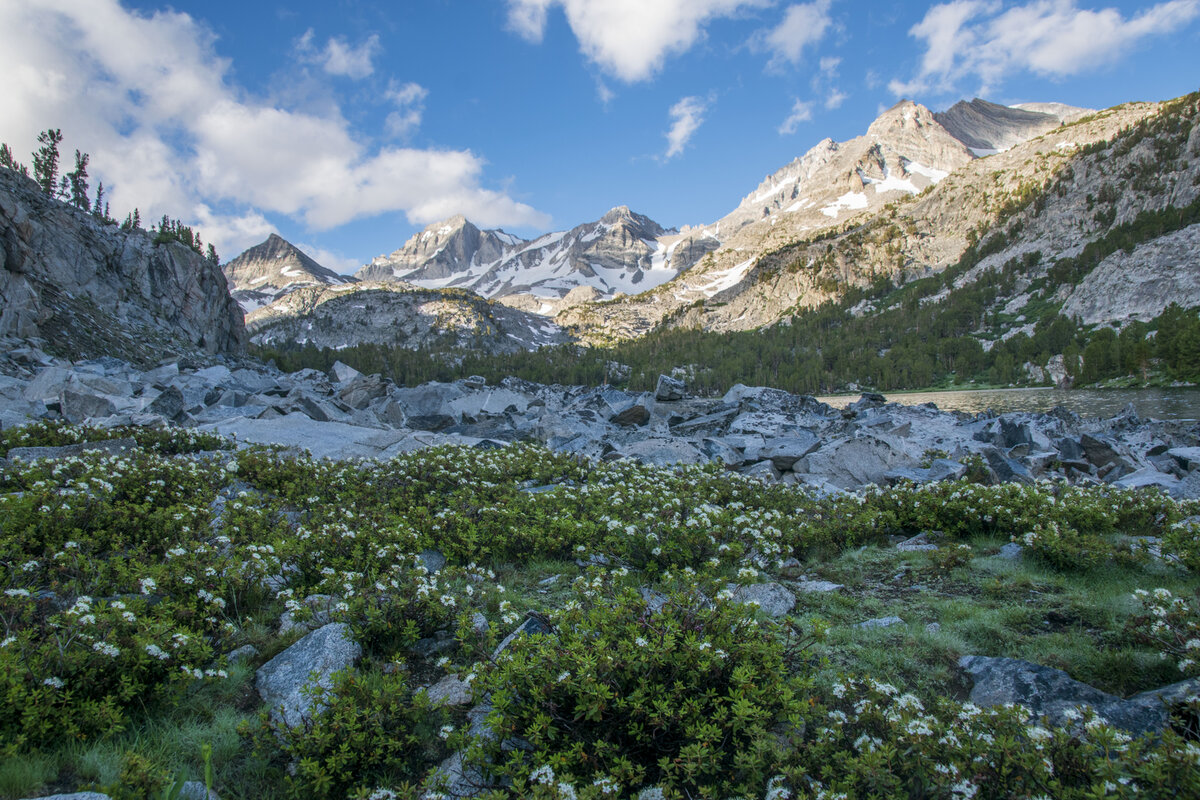 DSC_0773.jpg