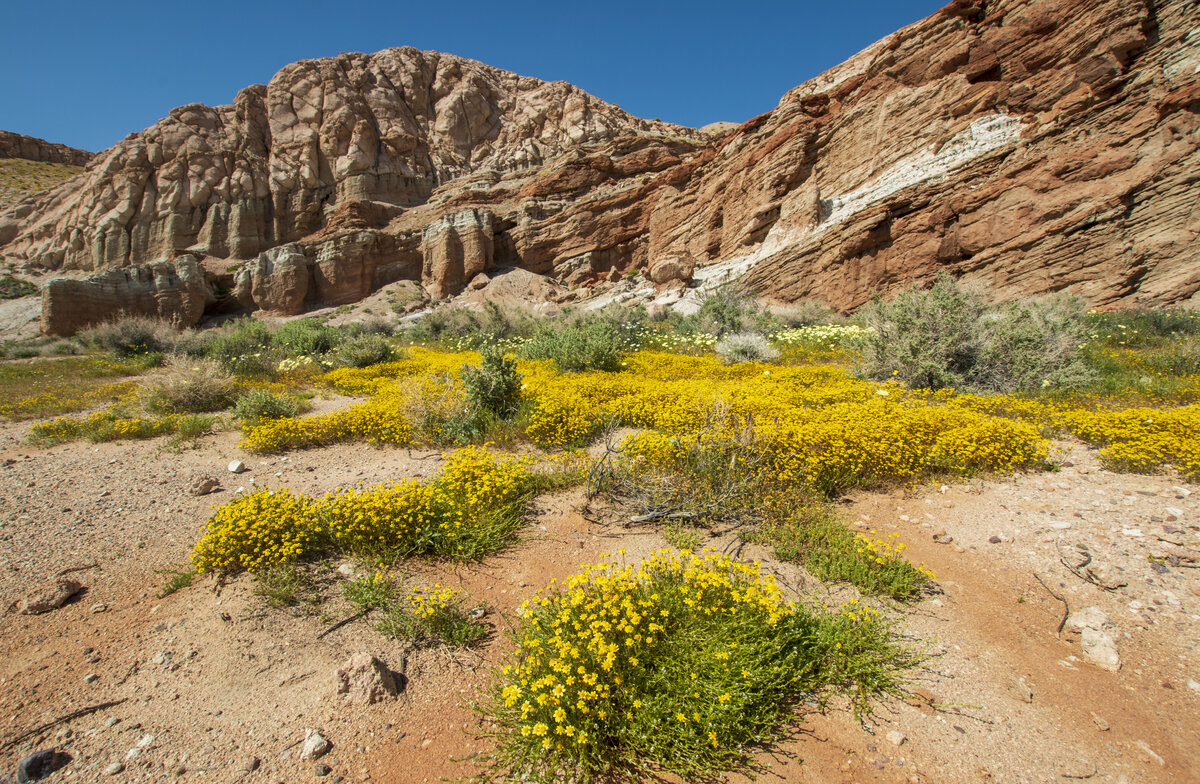 DSC_0775a.jpg