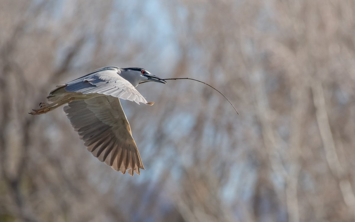 DSC_0853.jpg
