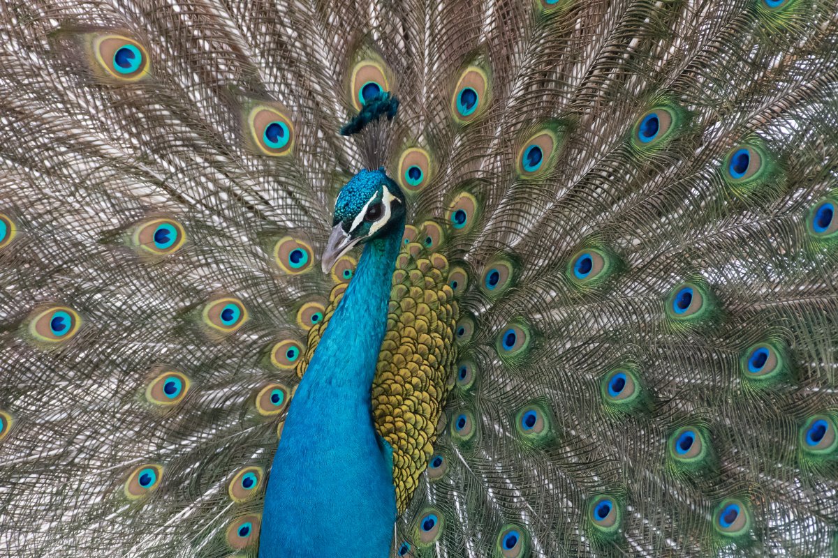 DSC_0905.jpg
