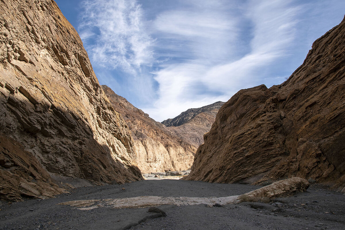 DSC_0907.jpg