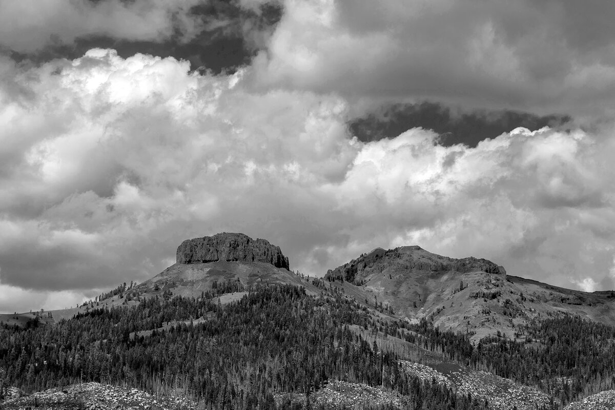 DSC_0931.jpg