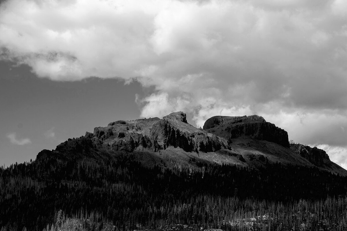 DSC_0939.jpg