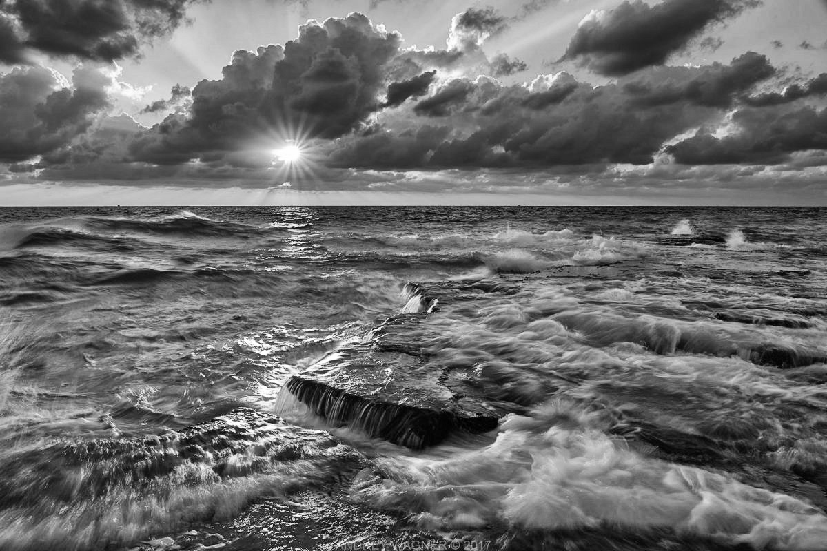 DSC_0952_SV16_crop1_BW.jpg