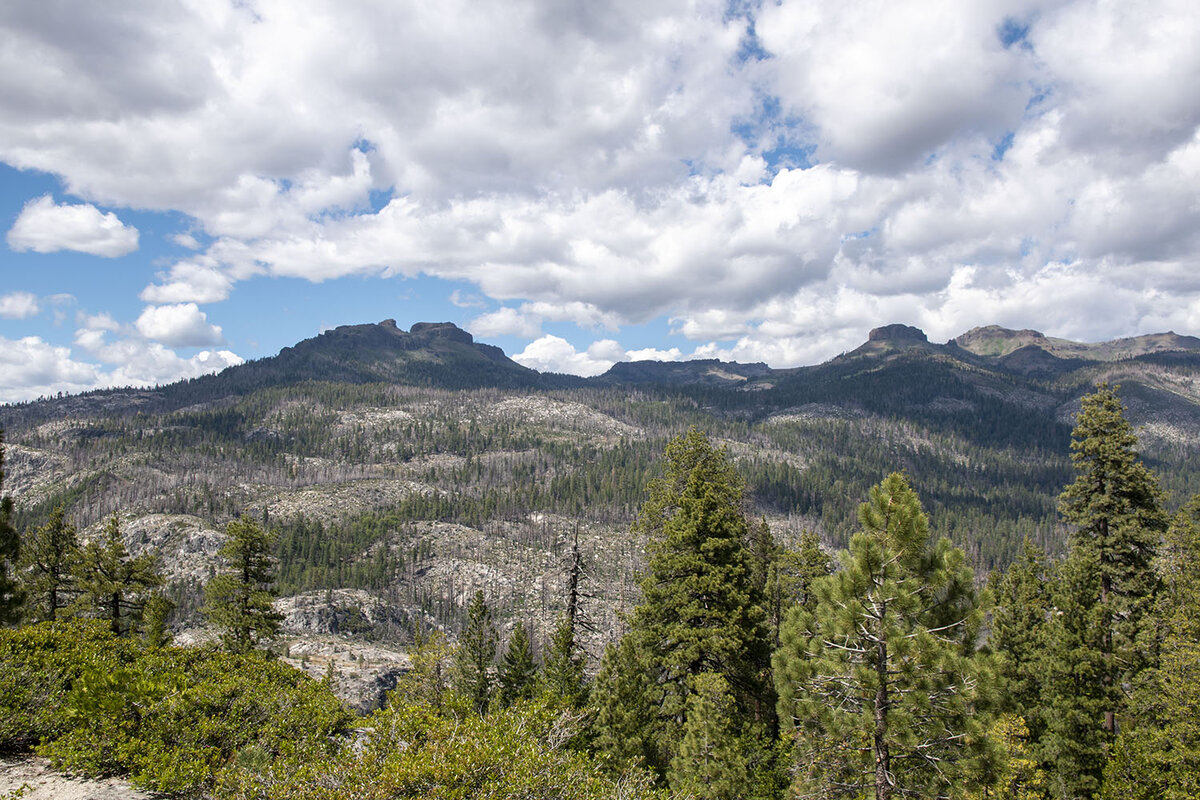 DSC_0954.jpg