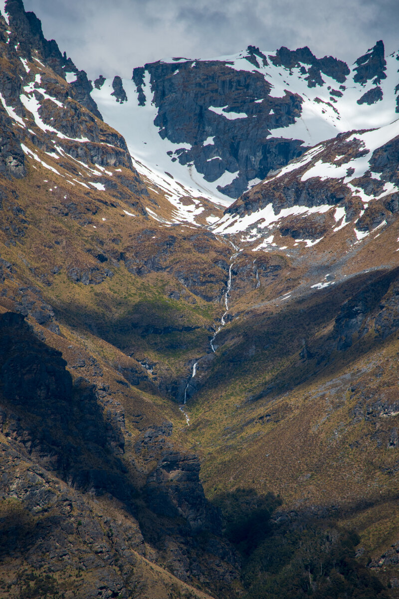DSC_0973.jpg