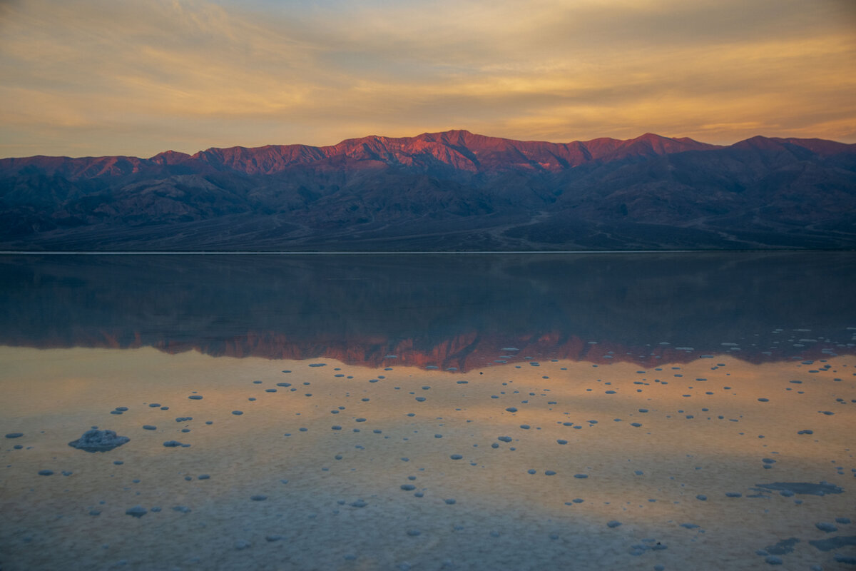 DSC_0976.jpg