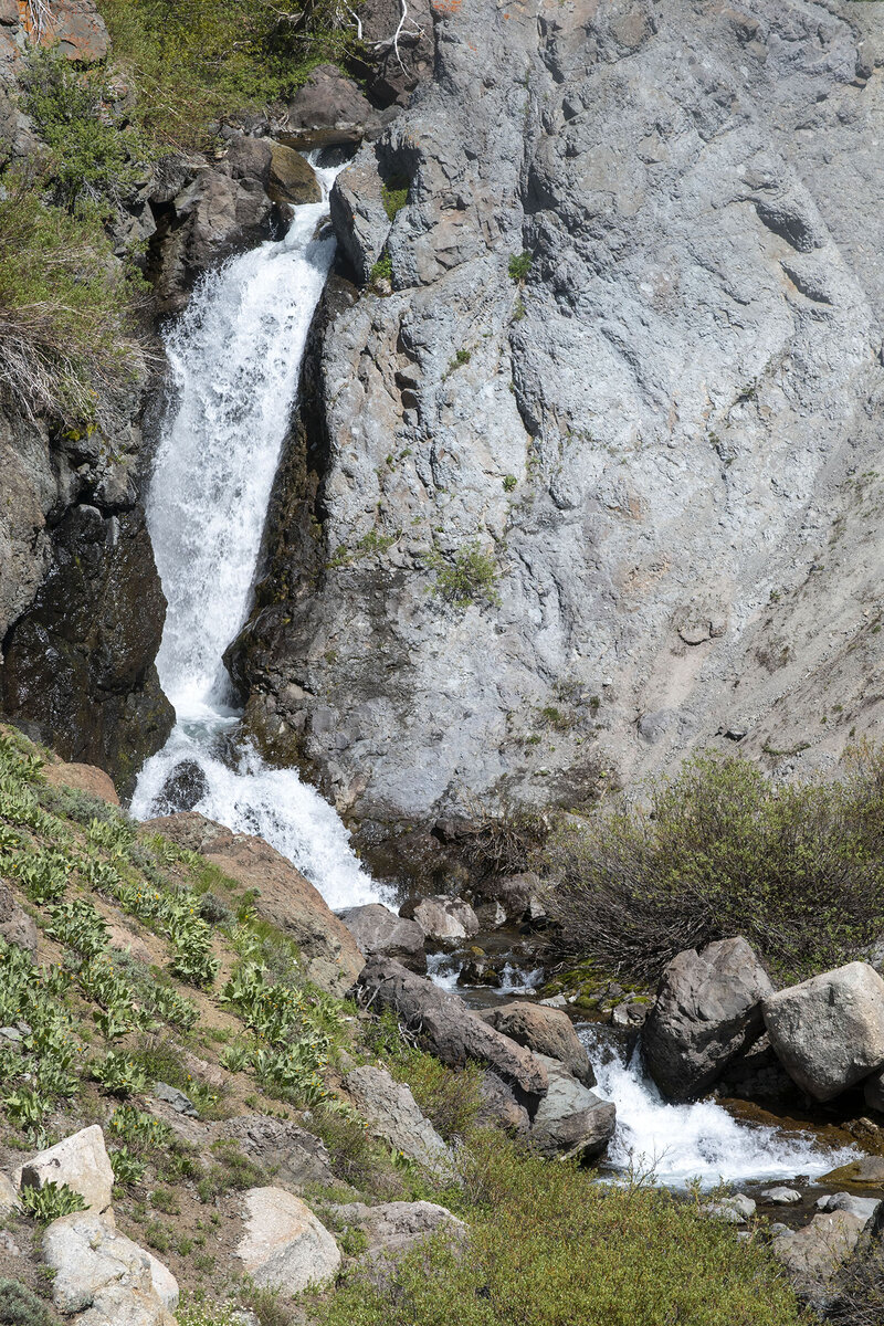 DSC_0988.jpg