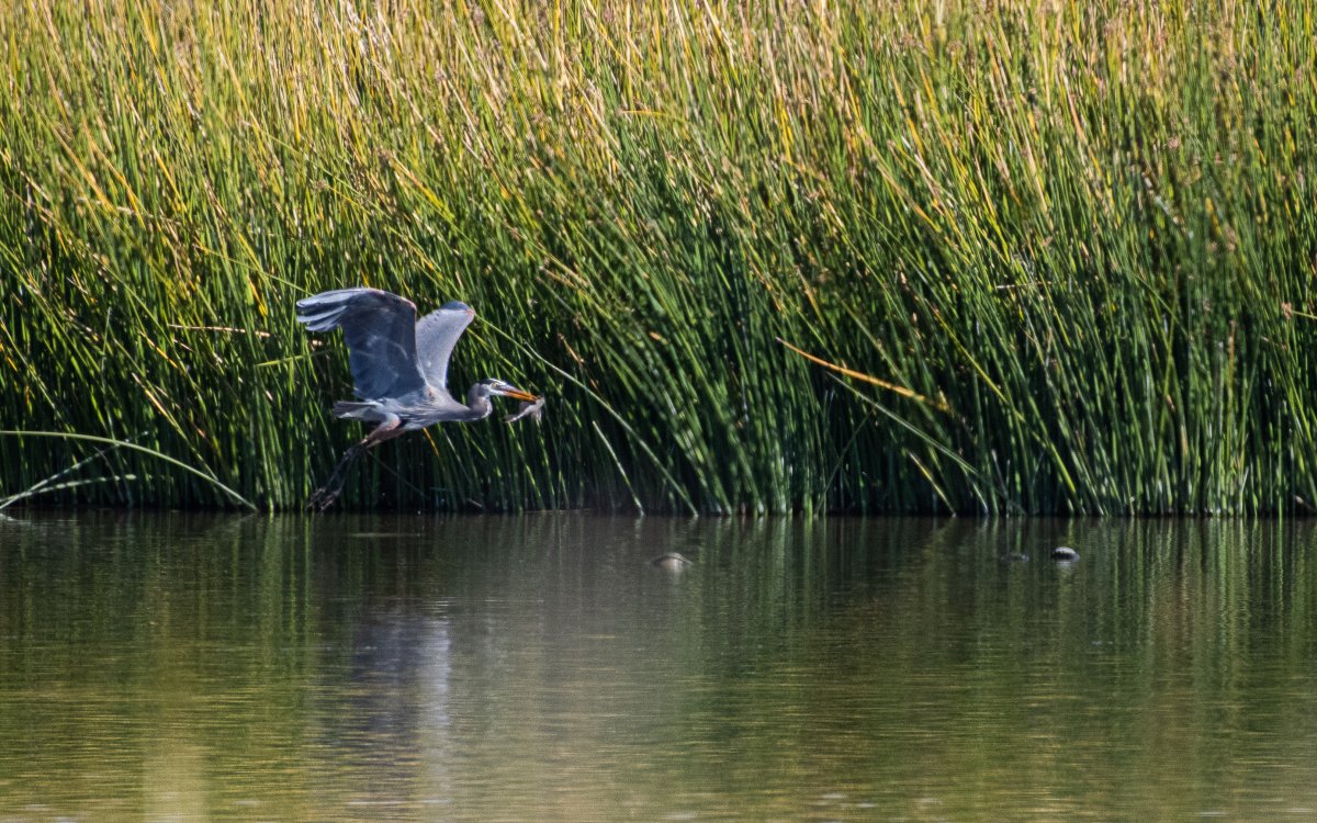DSC_1075-2.jpg