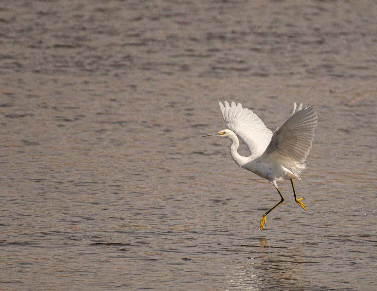 DSC_1166.jpg
