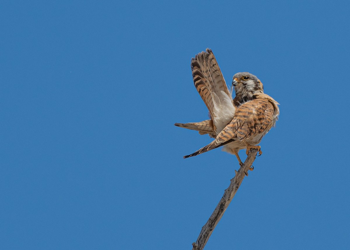 DSC_1317.jpg