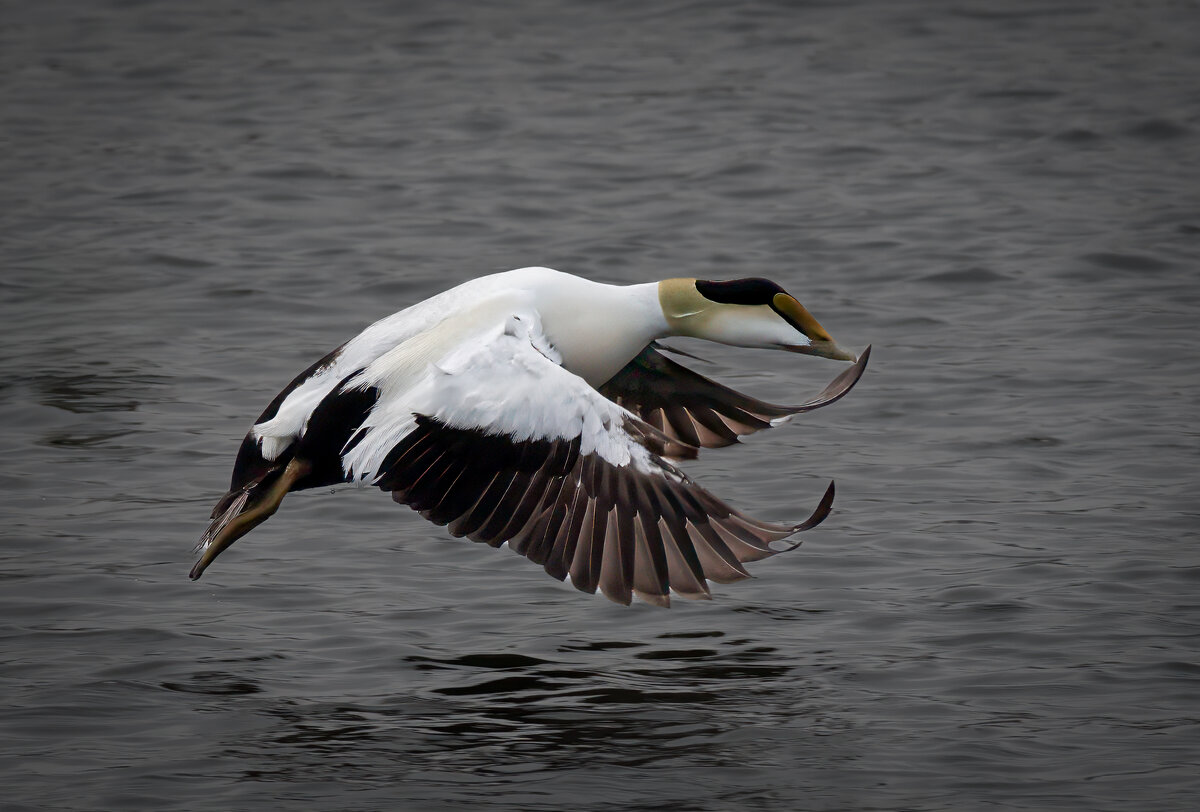 DSC_1326-Edit.jpg
