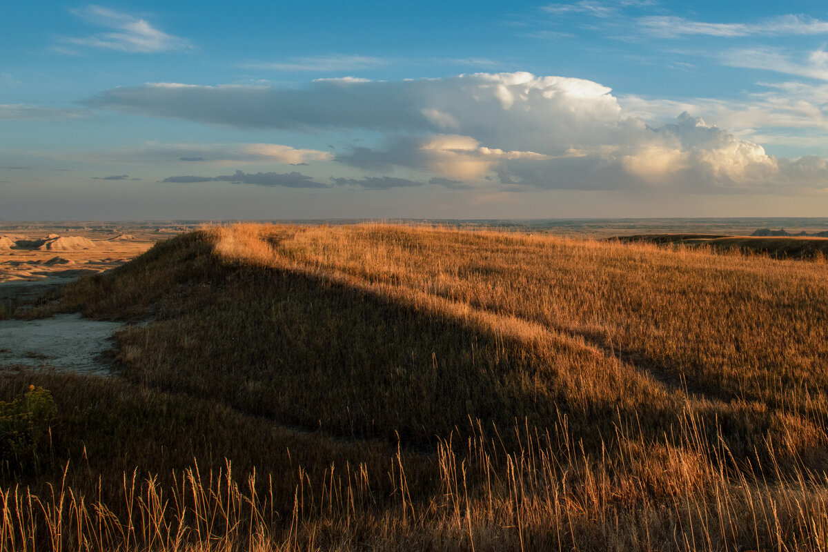DSC_1343-Edit.jpg