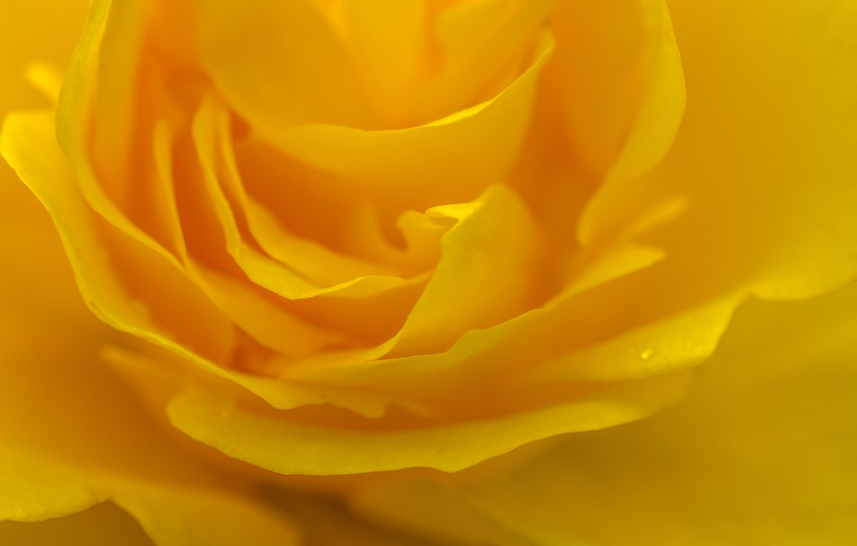 DSC_1358.jpg