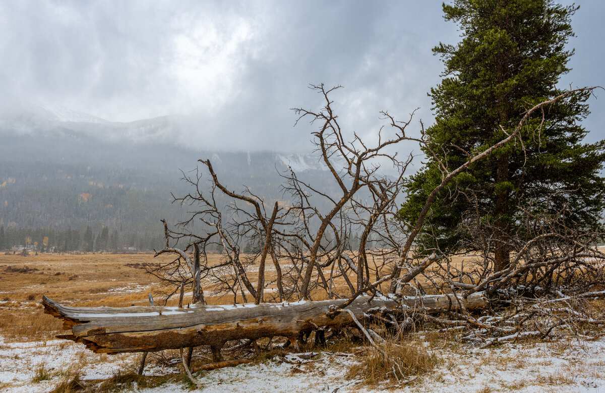DSC_1478-Pano-Edit.jpg