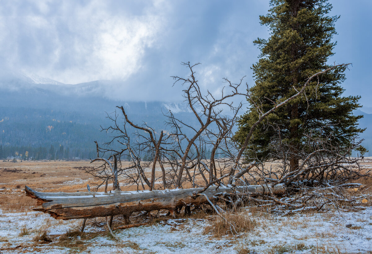 DSC_1478-Pano-Edit.jpg