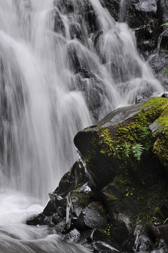 DSC_1538.jpg