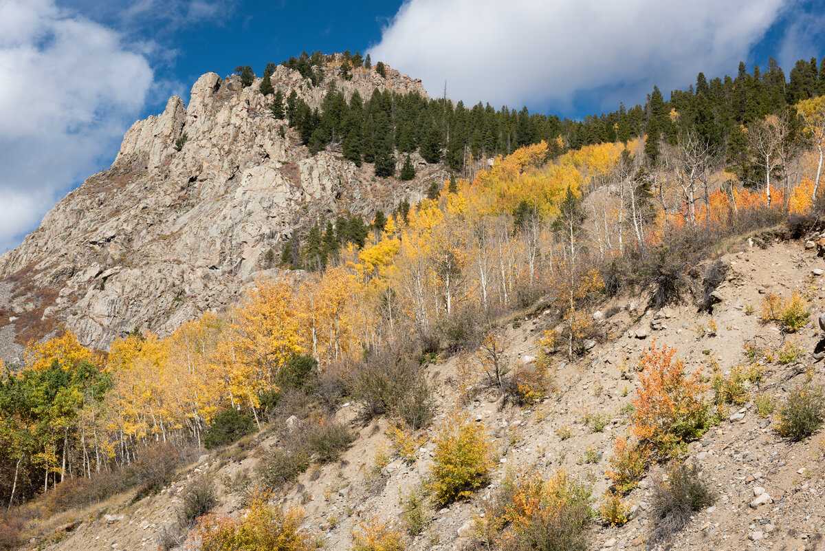 DSC_1567.jpg