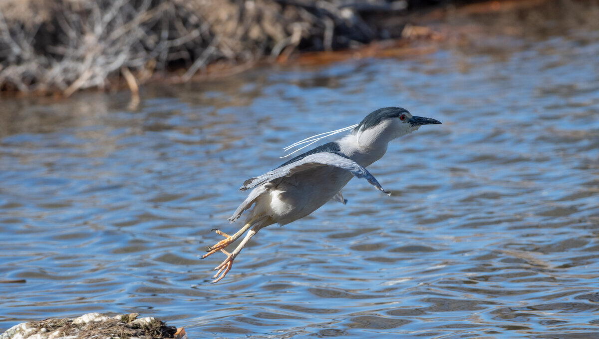 DSC_2191.jpg