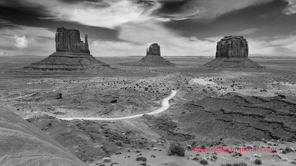 DSC_2508s.jpg