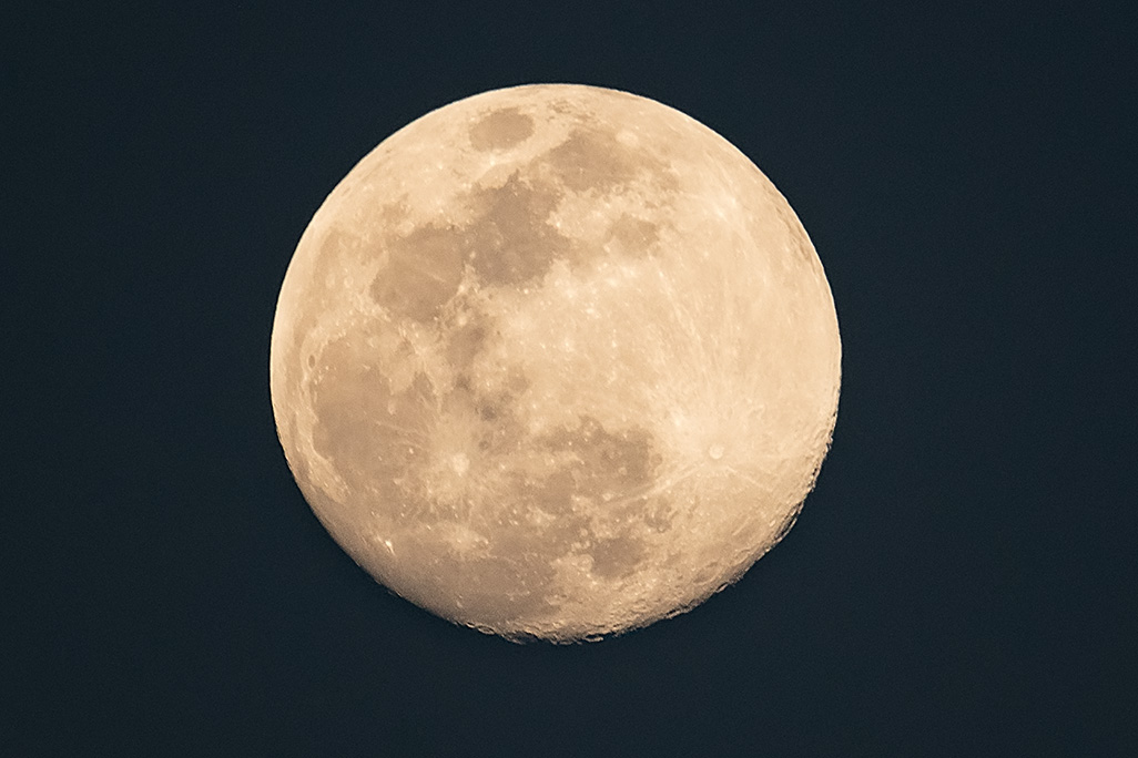 DSC_2988_dw.jpg