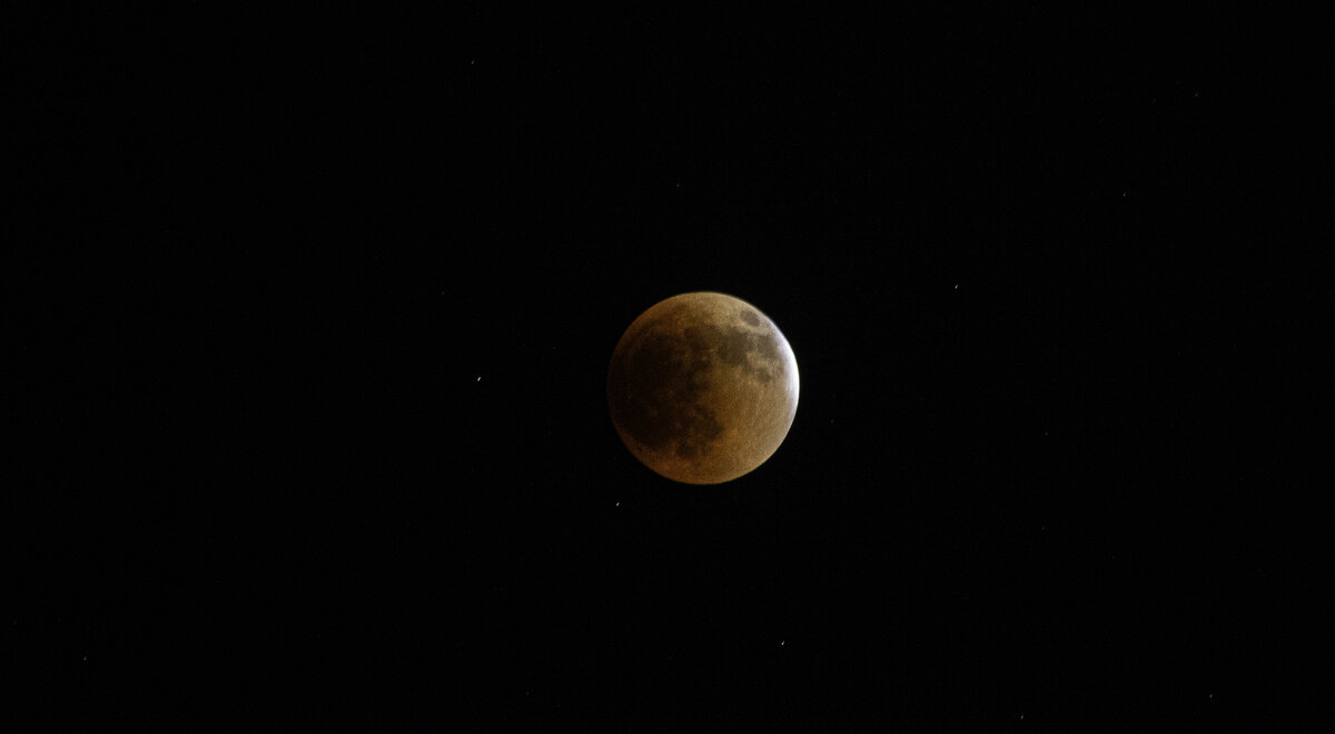 DSC_3647.jpg