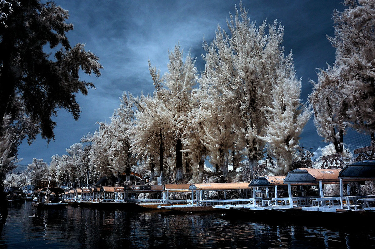 DSC_4138www.jpg