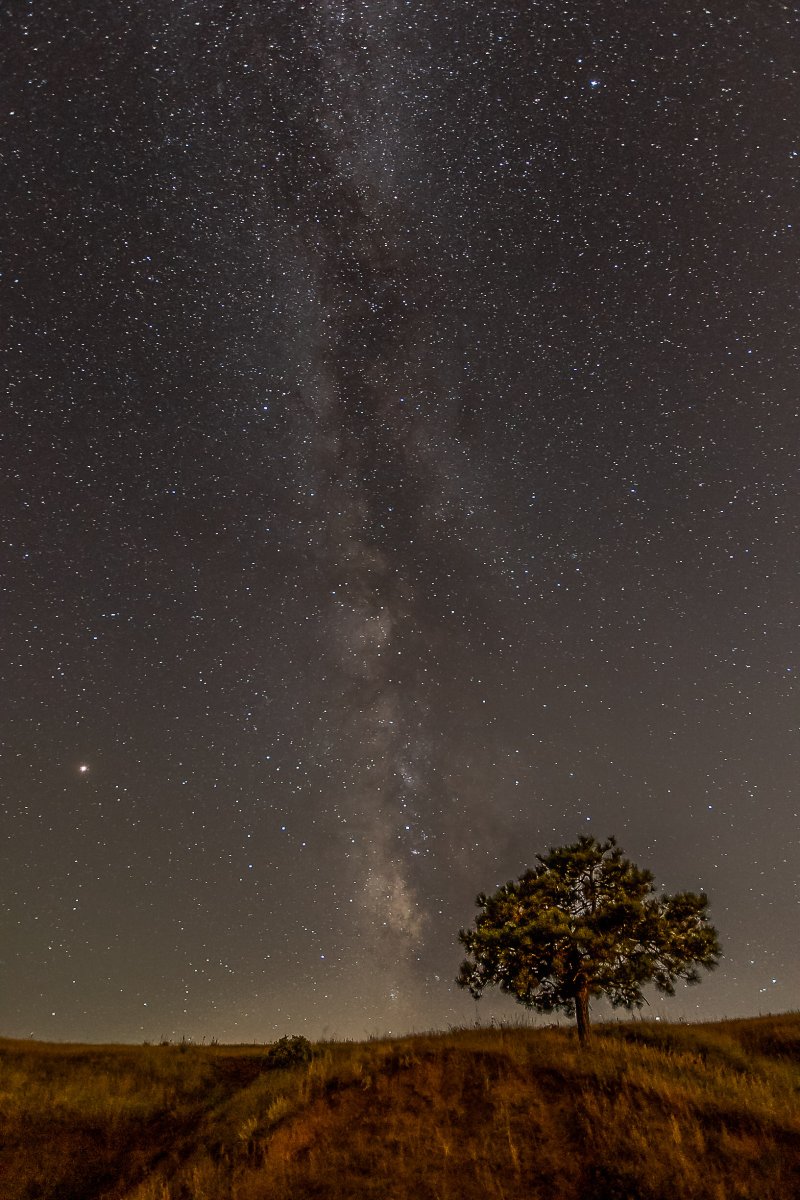 Dsc_4205.nef_2-Edit.jpg