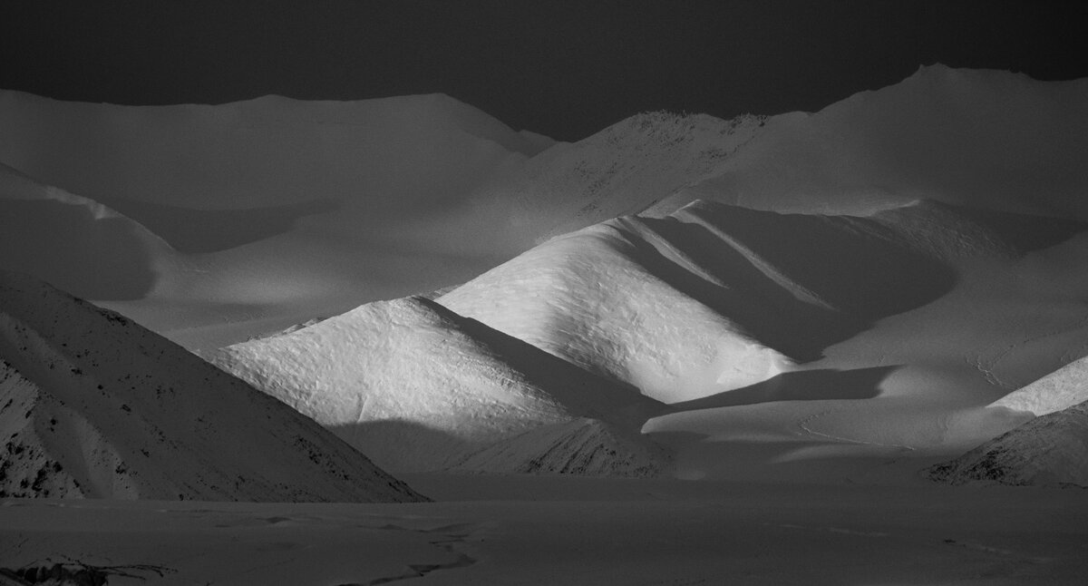 DSC_4423.jpg