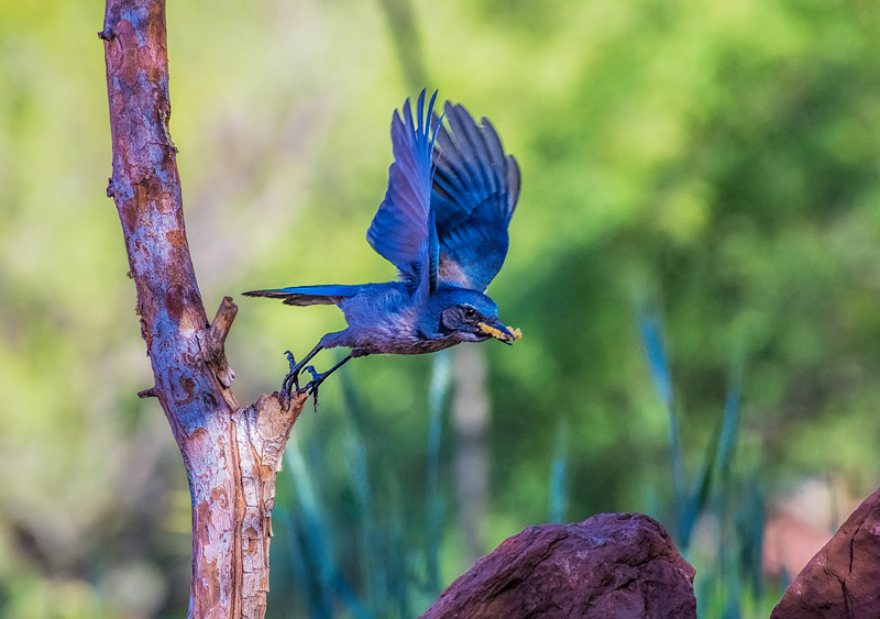 DSC_5576_dw.jpg