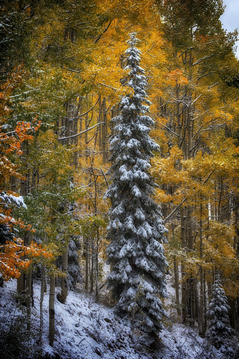 DSC_5598.jpg