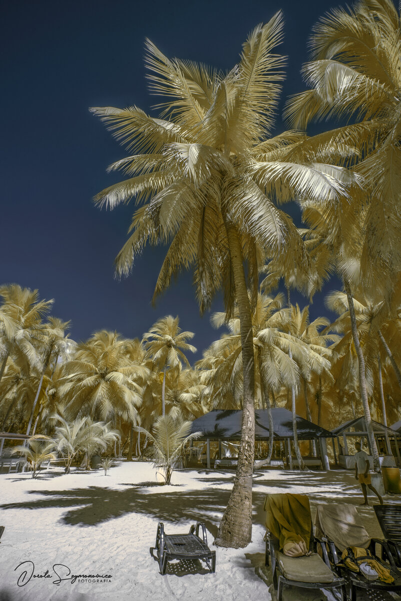 DSC_5679ma.jpg