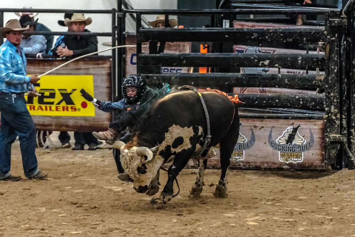 DSC_5812.jpg