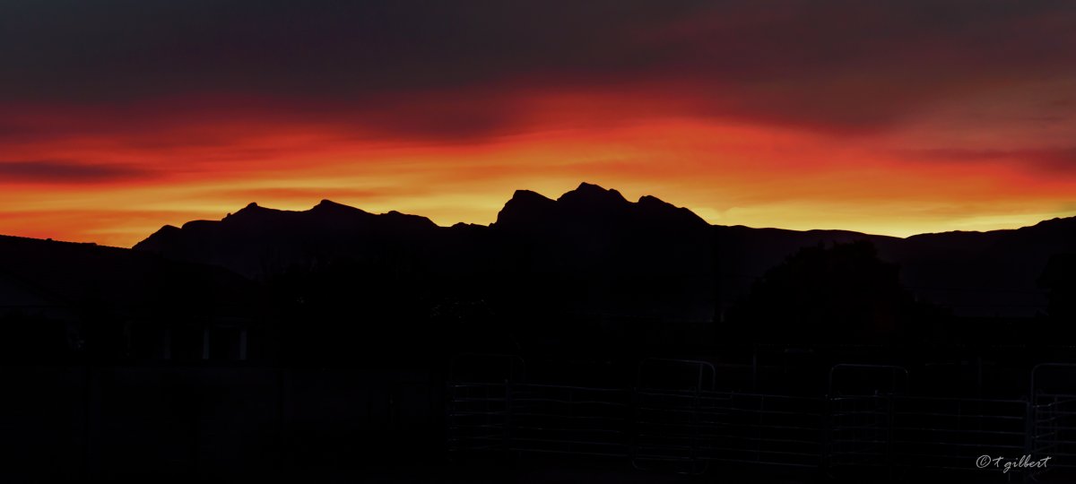 DSC_6396-Edit-2-2.jpg