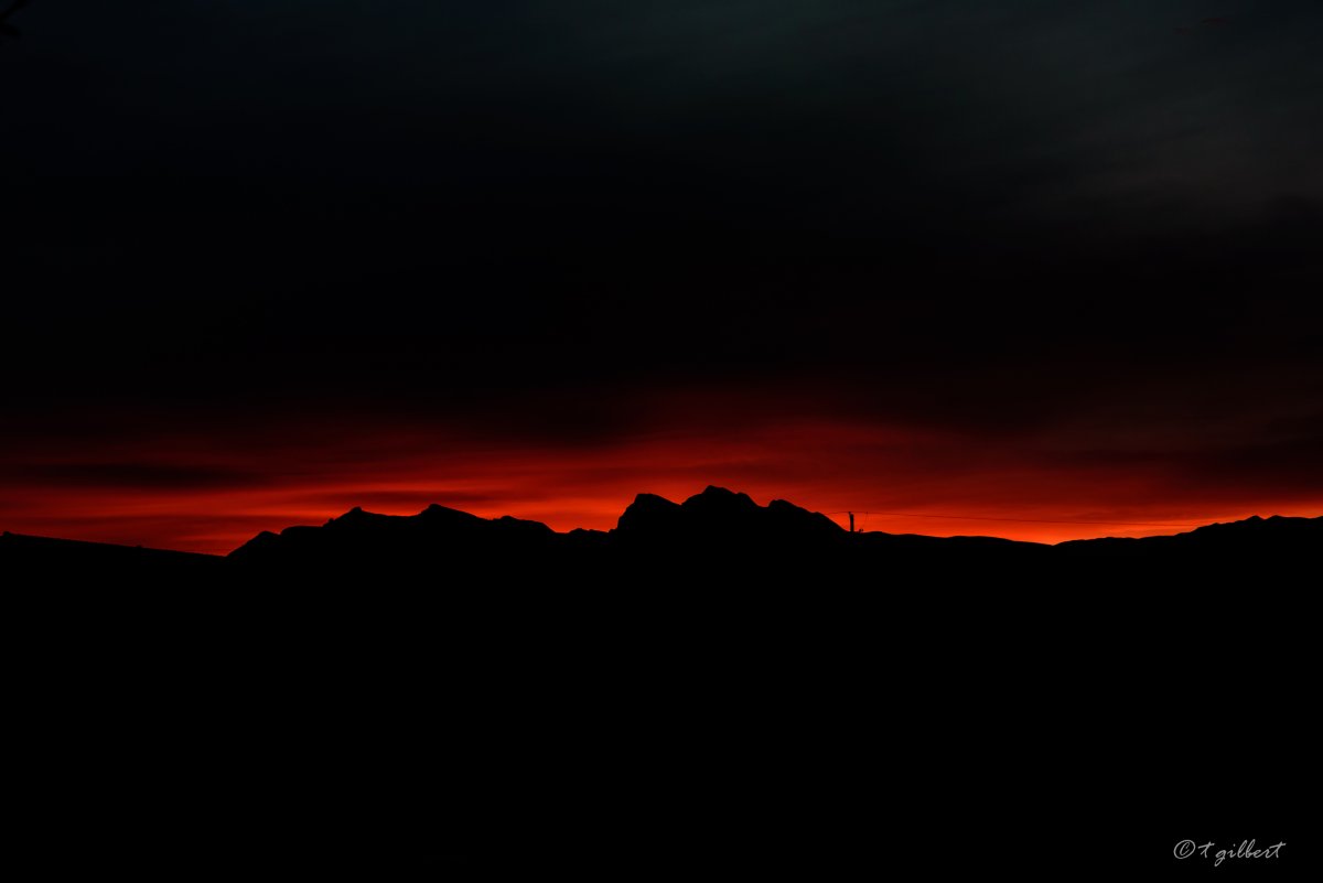 DSC_6396.jpg