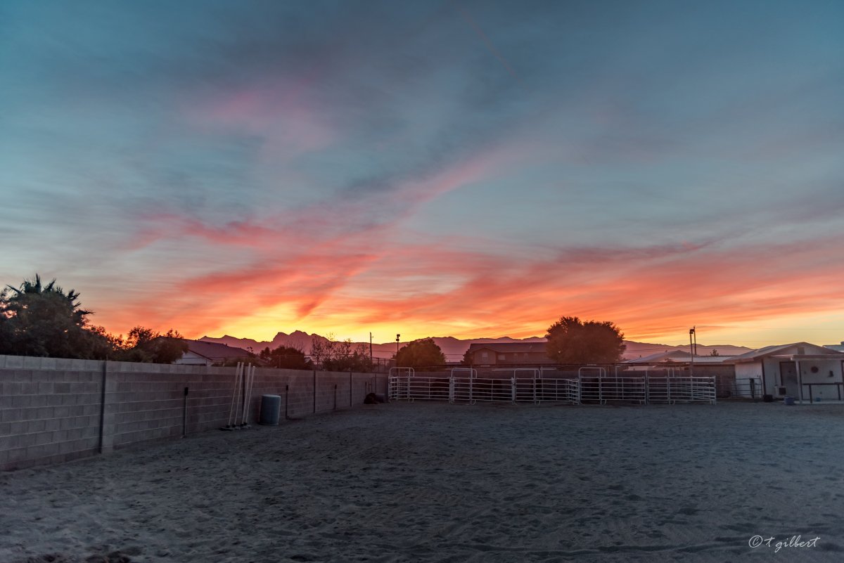 DSC_6448.jpg