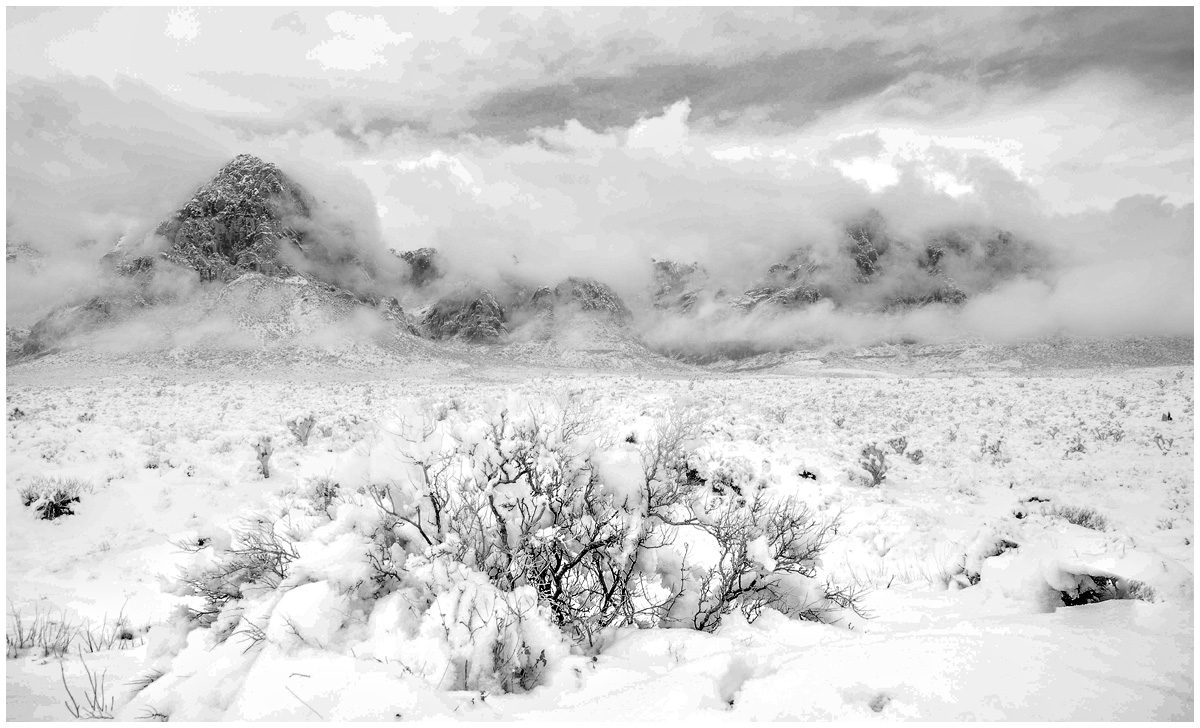 DSC_6479-3-1 mono.jpg