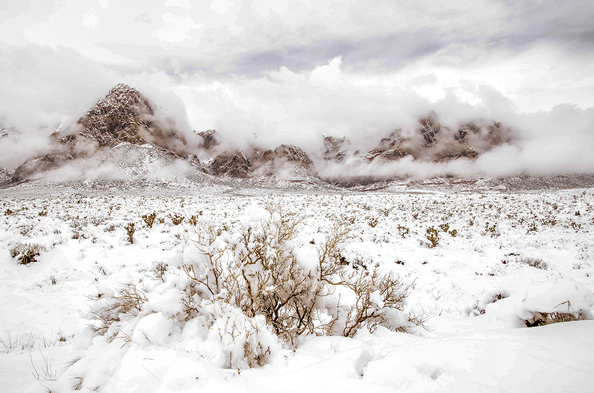 DSC_6479-3 ben.jpg