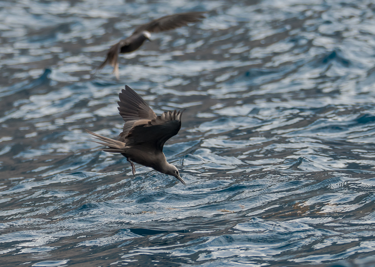 DSC_6505.jpg