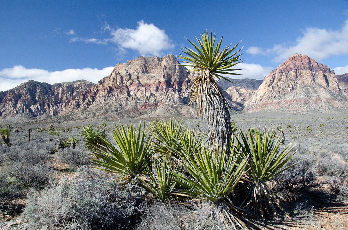 DSC_6563_2.jpg
