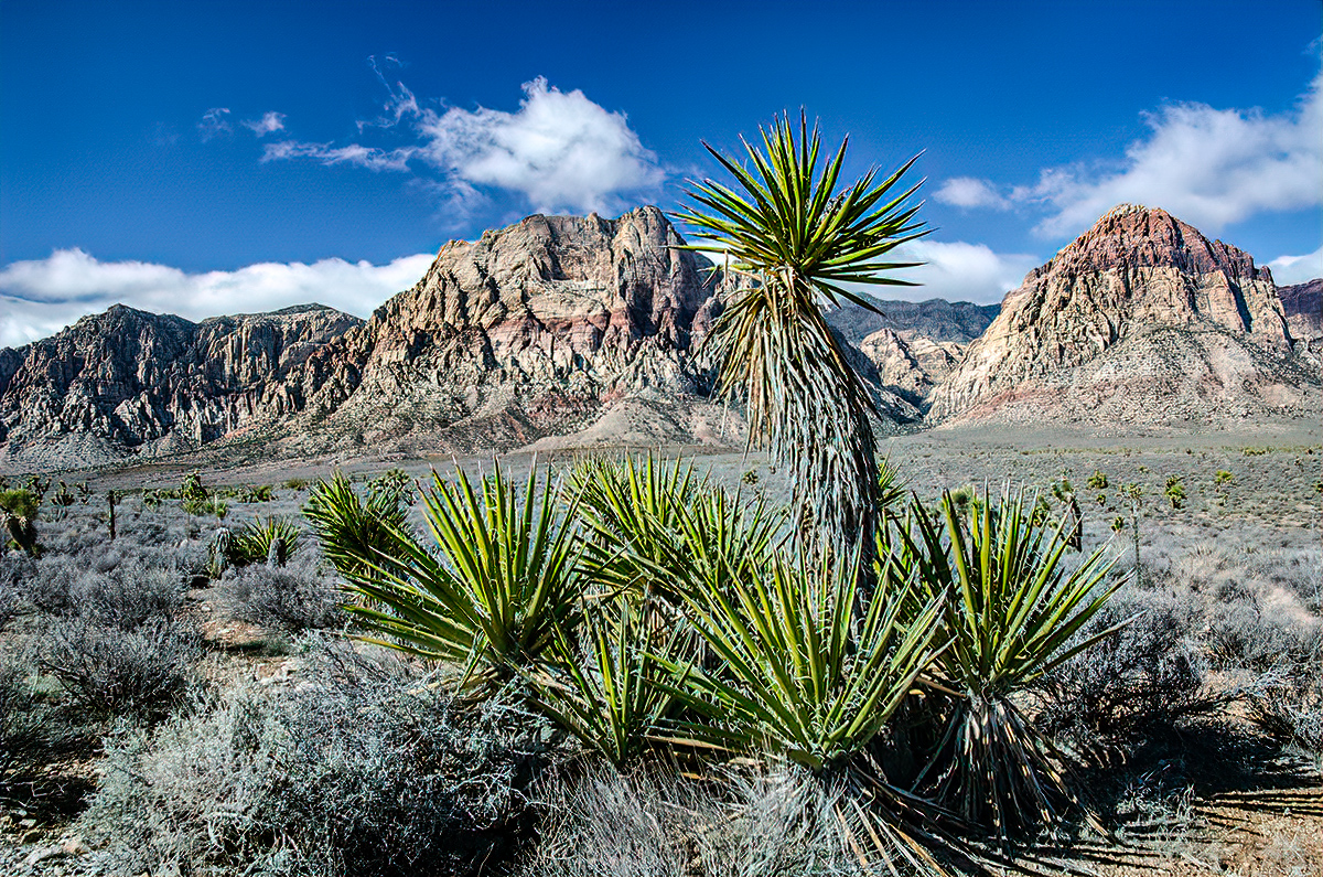 DSC_6563_2.jpg