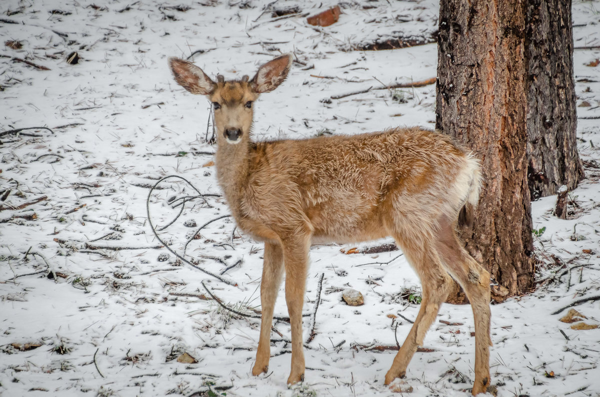 DSC_6785.jpg