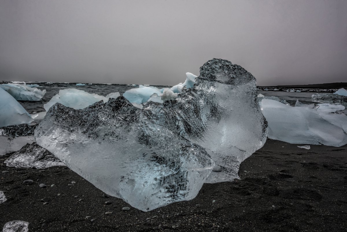 DSC_6786.jpg