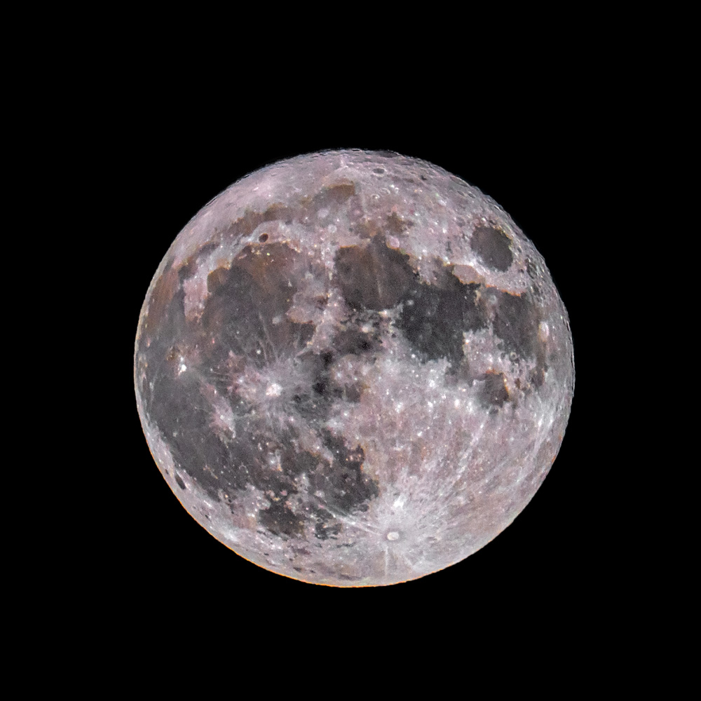 DSC_6971_dw.jpg