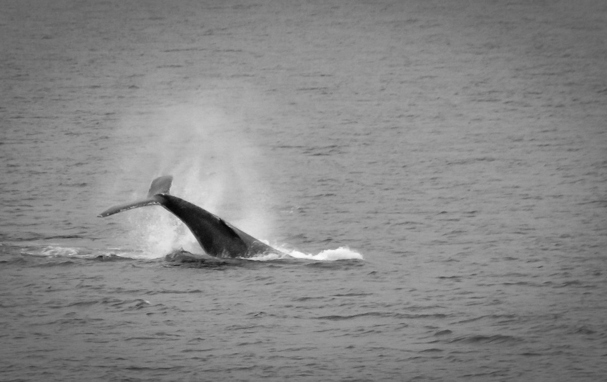 DSC_7044.jpg